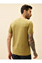 Printed Regular Fit Khaki T-shirt - 3