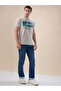 Graphic Print Regular Fit Grey T-shirt - 5
