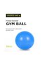INC GYM Ball 65CM Assorted Color - 6