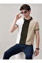 Striped Regular Fit Multicolor Polo T-shirt - 6