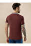 Waffle Textured Regular Fit Rust Polo T-shirt - 3