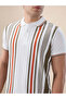Striped Contrast Tipping Regular Fit White Polo T-shirt - 4