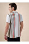 Striped Contrast Tipping Regular Fit White Polo T-shirt - 3