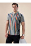 Striped Contrast Tipping Regular Fit Sage Polo T-shirt - 6