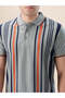 Striped Contrast Tipping Regular Fit Sage Polo T-shirt - 4