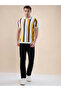 Vertical Stripe Knitted Regular Fit Sunflower Polo T-shirt - 5