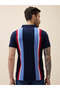 Striped Regular Fit Navy Polo Collared T-shirt - 3