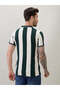 Vertical Stripe Regular Fit Green Polo T-shirt - 3