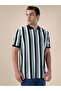 Striped Regular Fit Multicolor Polo T-shirt - 6