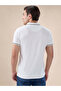 White Tipping Collar Regular Fit Polo T-shirt - 3