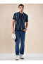 Striped Regular Fit Navy Polo T-shirt - 5