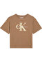 Boy's Brown T-Shirt with Mesh Appliqué