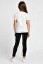 Girl's Cotton Pack of Stretch Fabric Plain Long Tights - 4