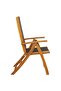 Folding Garden Chairs 2 pcs Solid Acacia Wood and Textilene - 7