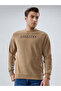 Solid Chest Typography Textured Lightweight Brown Sweatshirt
