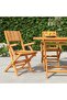 Folding Garden Chairs 2 pcs 55x61x90 cm Solid Wood Teak