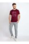 Basic Regular Fit Grey Melange Track Pant - 5