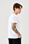 100% Cotton Basic T-Shirt – Casual Comfortable Unisex T-Shirt - 3