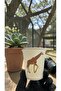 Animal-Jungle-Amazon-Zoo Birthday Party Giraffe-Themed Disposable 7 oz 50 Pcs Paper Cups - 3