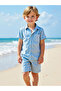Boys Blue Striped Shirt and Shorts Set - 4