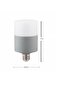 30 Watt Oval Torch Ampul - 2