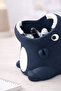 Dinosaur Pen Holder Desktop Organizer, Decorative Desk Pen Holder - Dinosaur Powder - 4