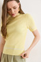 Women's Yellow Crew Neck Striped Cotton Content E Stretchy Knitwear Blouse Blz-19003268 - 5