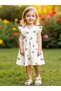 Girls Butterfly Print Sleeveless A-Line Dress