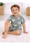 Infant Boys Bird Print Cotton Pajama Set – Soft T-Shirt & Shorts Nightwear - 3