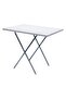 Picnic Plastic Table - 3