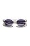 Eoh4017 C3 Light Gray Acetate Unisex Sunglasses - 3