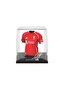 FanCollex - Alexander Isak ( Liverpool ) - Home 25/26 Jersey