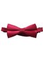 23 April Adjustable Elastic Children's Satin Bow Tie Set of 5 for Birthdays and Special Occasions - 3