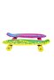 Skate Board, 22 inches