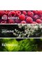 FLORAL BERRY - Eau De Parfum 50ml For Women, Long Lasting Perfume Upto 48Hrs, Inspired of-DIVINE - 3