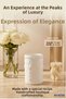 White Color Model 10 - Makeup Organizer, Makeup Brush Holder and Makeup Organizer - 2