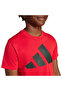 Boys Crew Neck T-Shirt With Logo Print - Cotton - Short Sleeves - 5