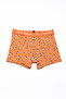X Saving House - Patterned Men's Boxers - Siamese - 2