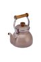Royal Enamel Teapot Mink - 4