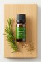 Rosemary Essential Oil 10 ml (100% Natural) - Rosemary Essential Oil - 3