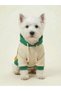 Bnt-S2510 Cat and Dog Hooded Sweatshirt Yellow - 2