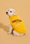 Bnt-s2501 yellow sweatshirt