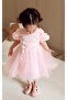 Special Series Rose Appliqued Princess Dress Pink