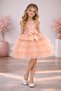 Girl's Tulle Evening Dress Party and Birthday Dress with Skirt in Salmon Color - 3