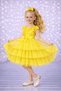 Girl's Buckled Sleeves Evening Dress Party Birthday Dress Without Skirt