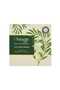 Tea Tree Extract Moisturizing Solid Soap 100 Gr