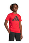 Red Boy's Printed T-Shirt Jc9664 J Bl Tee 160 - 6