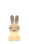 Miffy Lamba Star Light