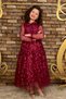 Girl's Burgundy Dress with Transparent Sleeves and Collar, Tulle Pieces and Leaf Detail - 4