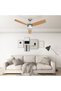 Ceiling fan with lighting/remote control, light brown, 108 cm